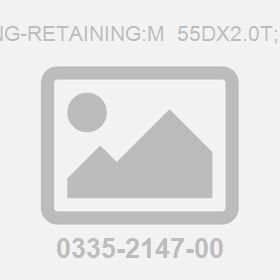 Ring-Retaining:M  55Dx2.0T;Int